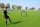 Lynxsport GmbH QUICKFIRE® Rebounder - faltbar
