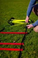 Lynxsport GmbH Koordinationsleiter