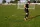 Lynxsport GmbH Kreuz-Koordinationsleiter - flach 4x2 m