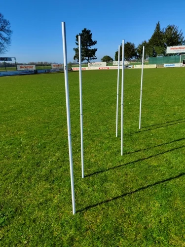 Lynxsport GmbH 5er-Set - Slalomstange 2-teilig mit Erdspieß