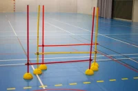 Lynxsport GmbH Slalomstangen-Set Indoor mit...