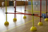 Lynxsport GmbH Slalomstangen-Set Indoor mit...