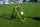 Multisport-Rebounder