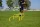 Lynxsport GmbH 5er-Set Mini-Trainingshürden - Höhenverstellbar 23/30cm