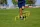 Lynxsport GmbH 5er-Set Mini-Trainingshürden - Höhenverstellbar 23/30cm