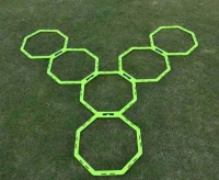Lynxsport GmbH 12er Set - Achteckige Koordinationsringe...