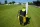 POWERCART® - der ultimative Gerätewagen - Fußball schwarz/gelb