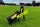 POWERCART® - der ultimative Gerätewagen - Fußball schwarz/gelb
