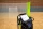 Lynxsport GmbH Lynxsport GmbH POWERCART® - der ultimative Gerätewagen - Handball schwarz/gelb