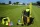 Lynxsport GmbH Powercart ausgestattet - Premium-Kit
