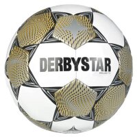 Derbystar Fussball-Brillant TT v23 Sonderedition Trainingsball weiss/gold/silber 5