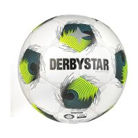 10er Ballpaket Derbystar FB-BRILLANT TT DB Trainingsball...