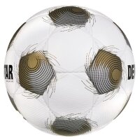 10er Ballpaket Derbystar FB-BRILLANT APS -...