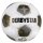 10er Ballpaket Derbystar FB-BRILLANT APS - weiss/gold/silber - 5