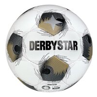 10er Ballpaket Derbystar FB-BRILLANT TTv25 Trainingsball...