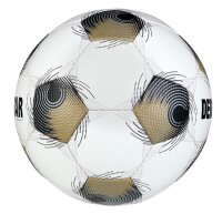 10er Ballpaket Derbystar FB-BRILLANT TTv25 Trainingsball...