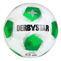 10er Paket Derbystar Fussball-APUS TT DB -...