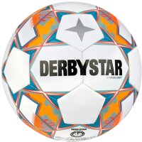 10er Ballpaket Derbystar FB Stratos TT v23 Trainingsball...