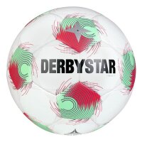 10er Ballpaket Derbystar FB-TEMPO TT Trainingsball-...