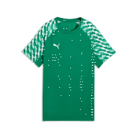 Puma teamLiga 26 Jersey sport green-puma white-sport green S