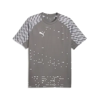 Puma teamLiga 26 Jersey flat medium gray-pumawhite-flat light gray XL