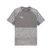 Puma teamLiga 26 Jersey flat medium gray-pumawhite-flat light gray XXL