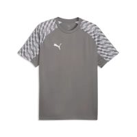 Puma teamLiga 26 Jersey flat medium gray-pumawhite-flat light gray XXXL