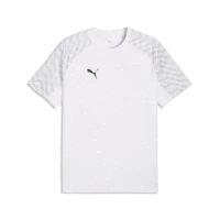 Puma teamLiga 26 Jersey puma white-puma black-flat light gray XL