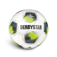 10er Ballpaket Derbystar Brillant TT v26 Trainingsball...