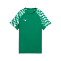 Puma teamLiga 26 Jersey sport green-puma white-sport green 128