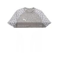 Puma teamLiga 26 Jersey flat medium gray-pumawhite-flat light gray 116