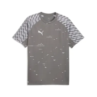 Puma teamLiga 26 Jersey flat medium gray-pumawhite-flat light gray 128