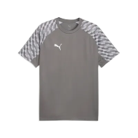 Puma teamLiga 26 Jersey flat medium gray-pumawhite-flat light gray 152