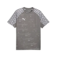 Puma teamLiga 26 Jersey flat medium gray-pumawhite-flat light gray 164