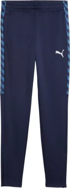 Puma TEAMLIGA 26 Training Pants Kinder puma navy-puma white-blue horizon 116