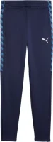 Puma TEAMLIGA 26 Training Pants Kinder puma navy-puma white-blue horizon 128