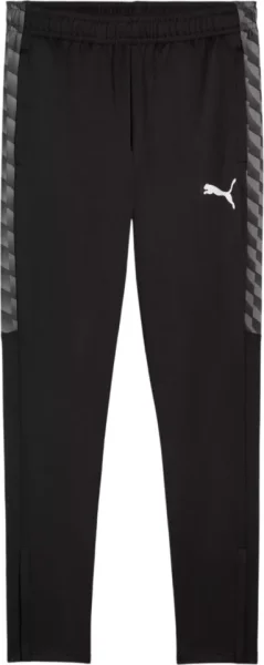 Puma teamLIGA26 Training Pants Erwachsene puma black-puma white-flat dark gray XL