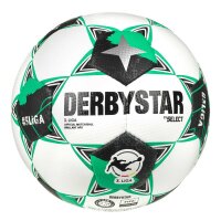 Derbystar Brillant APS v26 Spielball 3. Liga