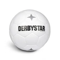 10er Ballpaket Derbystar Brillant APS Classic v26...