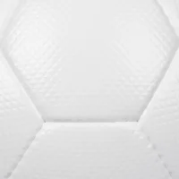 10er Ballpaket Derbystar Brillant APS Classic v26...