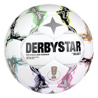 Derbystar FB-DFB-Pokal Brillant APS v 26 Spielball