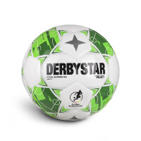 10er Ballpaket Derbystar Futsal-Bundesliga Apus TT...