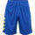 TRUE BLUE/BLAZING YELLOW
