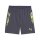 Puma IndividualCup Shorts Herren